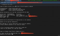 阿里云VPS远程访问全攻略，轻松实现远程连接，让你的操作更便捷！