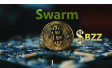 Swarm-Bzz云服务器代理方案