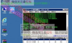 VPS挂页游赚钱秘籍，轻松盈利，轻松赚钱！