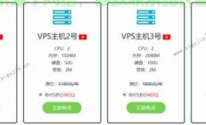 独家优惠！免备案VPS与国内低价虚拟主机，助力个人与企业网站快速搭建！
