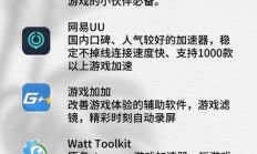 手游玩家必备指南，揭秘最佳VPS服务提供商！
