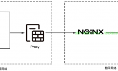 VPS Nginx反向代理配置指南，高效网站访问轻松实现