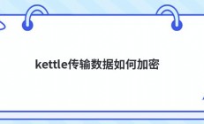 kettle传输数据如何加密