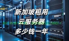 租赁企业云服务器怎么用?