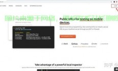 Ngrok与树莓派VPS，构建远程访问利器