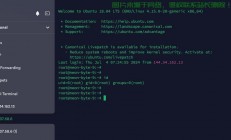 VPS英文设置教程，一键切换至英文界面
