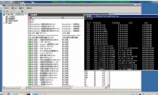 VPS搭建秘籍，入门到精通的详尽教程
