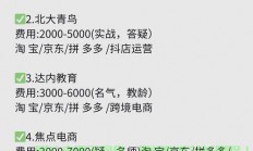 电商VPS新手入门宝典，轻松搭建与管理电商服务器！