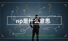 揭秘NP背后的神秘含义，一探究竟！