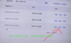 怎么把域名挂到别人服务器?
