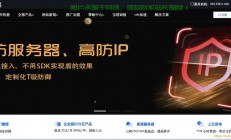 VPS与玫瑰的神秘纽带，揭秘二者的独特关联