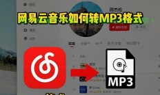 网易云音乐极速VPN，音乐之旅畅快无阻！