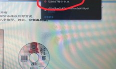 绕过限制下载文件，法律风险揭秘与防范指南！