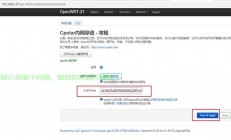NAT VPS上OpenXX安装全攻略，轻松上手，步步带你飞！