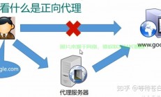 VPS反向代理与Google操作优化秘籍，揭秘高效上网之道