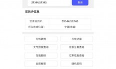 怎么通过服务器ip付费?