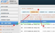 VPS香港CN租用全攻略，优势分析、选择指南与最佳实践