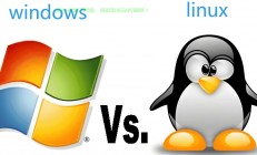 VPS主机，Windows与Linux系统深度对比解析