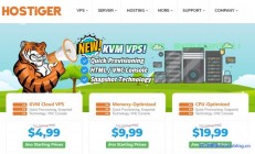 震撼！超低价优质VPS，每月仅需不到十元！