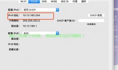 轻松上手IPv6地址查询技巧！
