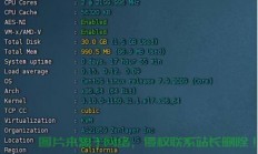 测试本机到VPS速度，一键掌握网络性能，速度尽在掌握！