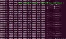 在 Linux 中查看二进制文件有多种方法，以下是常用的工具和操作示例，如何在Linux中轻松查看二进制文件？这5种方法你试过吗？，Linux高手必备，这5种查看二进制文件的神器，你用过几种？
