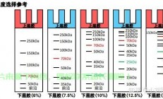 VPS配胶秘籍，轻松找到最佳组合，引领眼球的指南！
