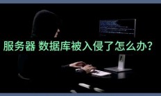 服务器没有监控怎么办?