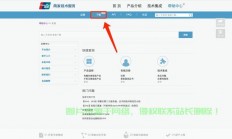 海外VPS支付宝使用攻略，安全、便捷、高效的跨境支付新体验