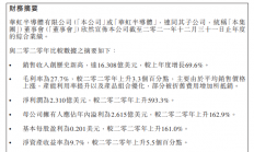 华虹半导体2021全年营收大增，IPO获辅导备案 晶圆代工厂商最新产能规划曝光