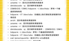 深入解析Linux curl命令参数，从基础到高级应用，Linux curl命令参数全解析，如何从入门到精通？，Linux curl命令参数全解析，如何从入门到精通？