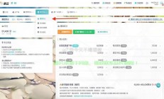 网页游戏VPS配置详解，高效游戏服务器轻松搭建指南