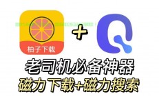 磁链下载神器与VPS使用指南，高效下载秘籍
