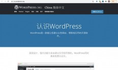 从零起步，轻松搭建个人网站，VPS建站实战教程！