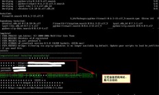 VPS宝塔容量危机，解决安装瓶颈的有效方法！
