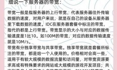 VPS带宽限制实战指南，实用方法大揭秘！