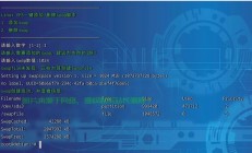 VPS运行环境深度解析，性能、稳定性与优势对比