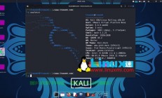Linux系统下国外VPS主机优势深度解析