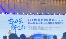 聚焦车芯屏！这场盛会圆满召开