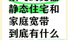VPS与紫鸟大比拼，深度解析差异，你更倾向哪一个？