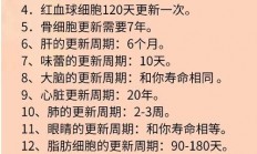 揭秘最新更新动态，关键信息一览无余！