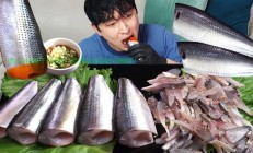 韩国VPS鱼鱼，高效稳定的远程访问解决方案探索！