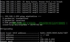 VPS缺失IPv4真相揭秘