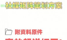 VPS新媒体营销秘籍，策略实战指南