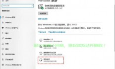 Win10更新变灰色？别担心，解决秘籍大揭秘！