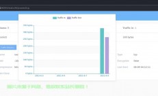 揭秘，FRP如何通过VPS实现流量优化与管理大解析！