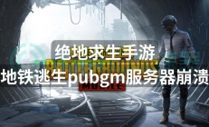 pubglite服务器满了怎么办?