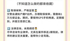 警惕酒后驾驶新动向，醉驾处理需用VPS技术应对！
