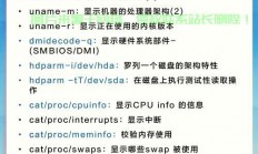 Linux强制拷贝命令详解及宝塔面板安装指南，Linux强制拷贝命令怎么用？宝塔面板安装有哪些必知技巧？，Linux强制拷贝命令竟有这些隐藏技巧？宝塔面板安装必知5大陷阱！