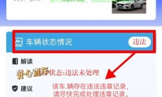 VPS车辆查询详解，轻松掌握高效车辆信息查询技巧！